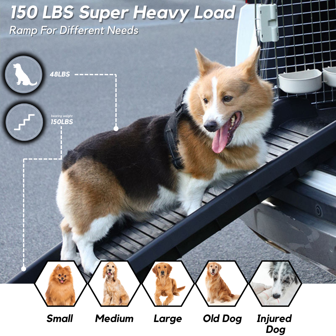 Pet ramps