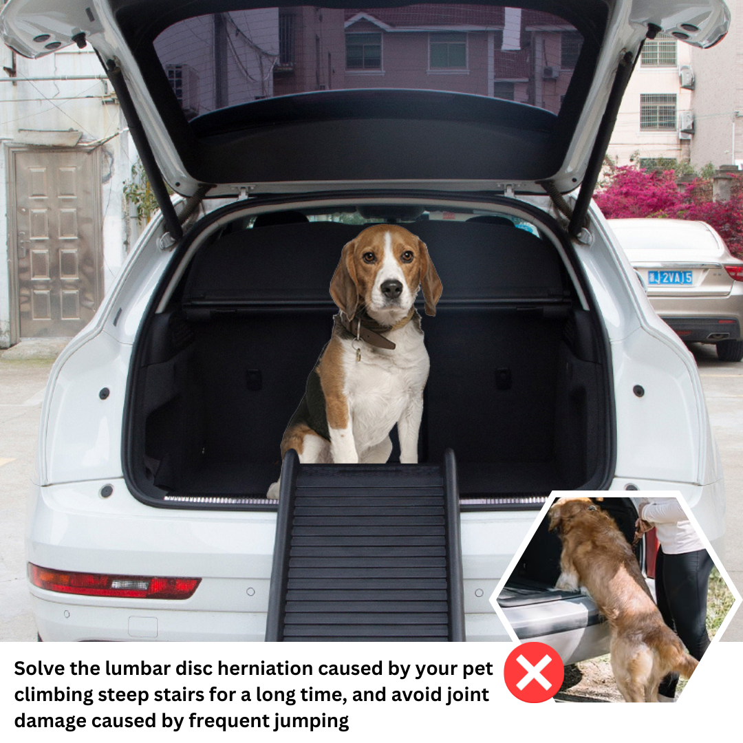 Pet ramps
