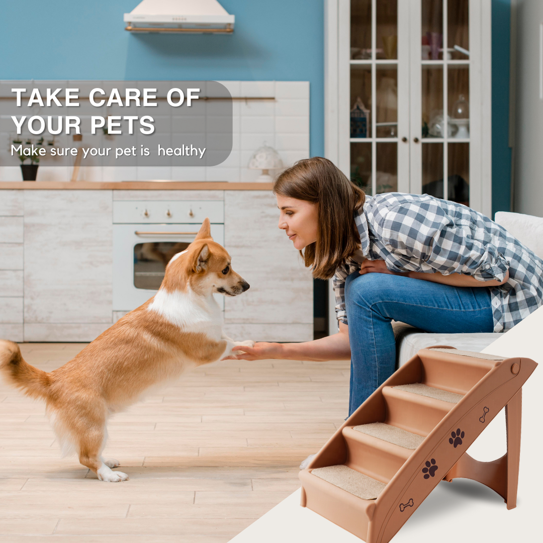 Pet 4 Stairs (Brown)