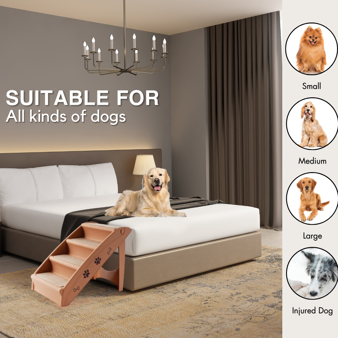 Pet 4 Stairs (Brown)