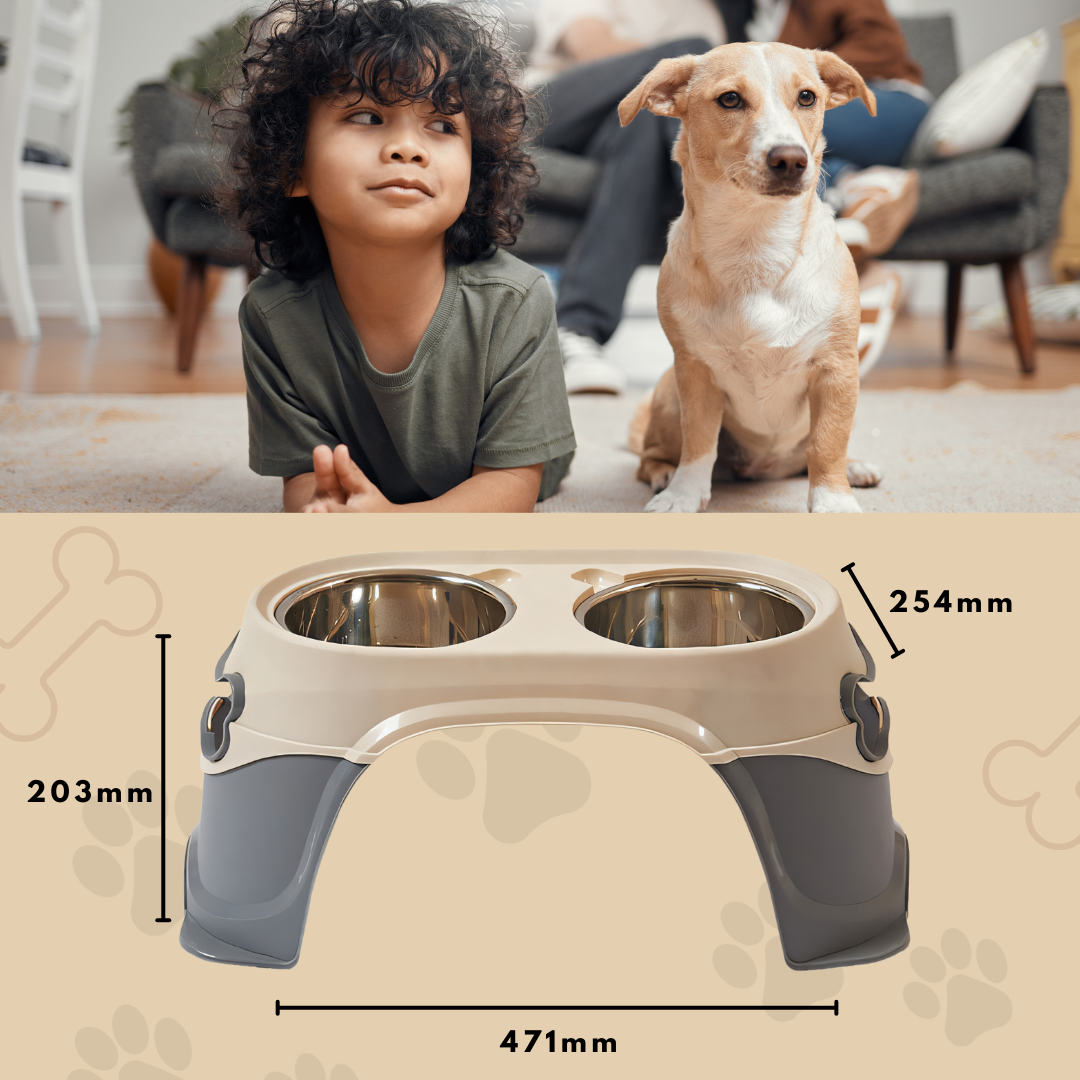 dog blows