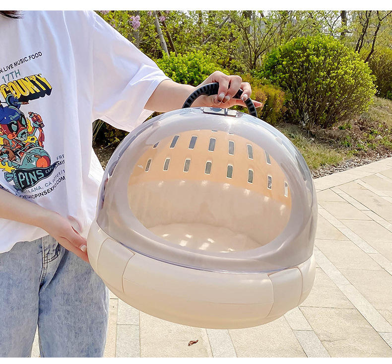 Pet Travel Carrier Bag