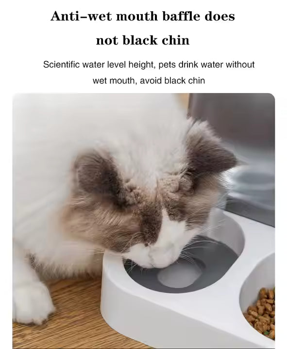 Pet Food Bowl and Water Bottle Set