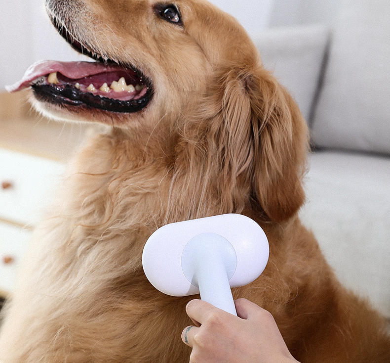 5-in-1 Cat Brush Self Cleaning