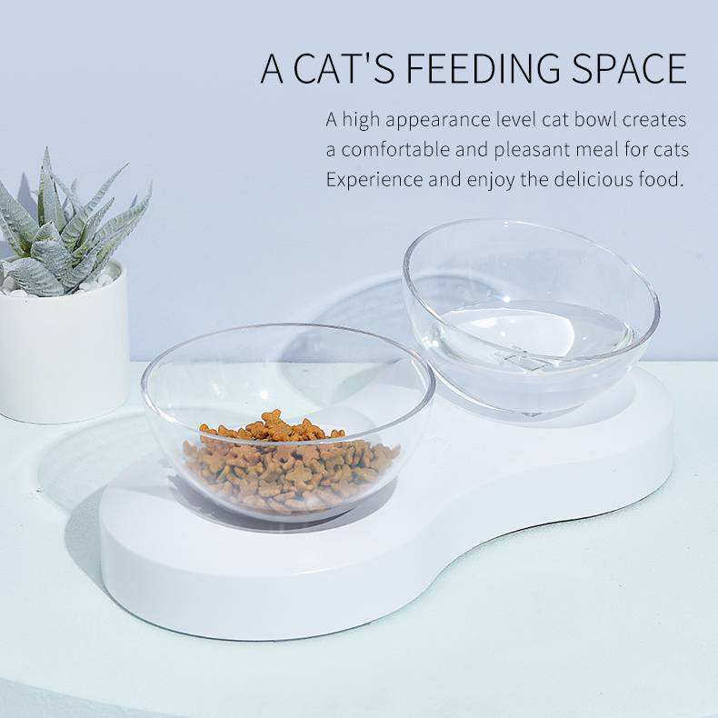 Cats Dogs Food Bowls