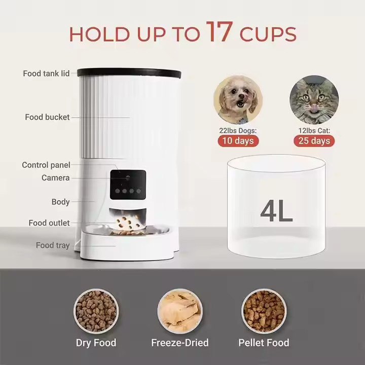 Automatic Cat Feeder With Camera Video
