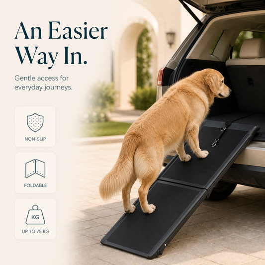 Compact 105.5 cm black bi-fold pet ramp at SUV with dog