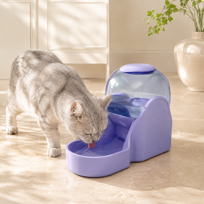 Lavender 3.8L gravity pet water dispenser with cat drinking