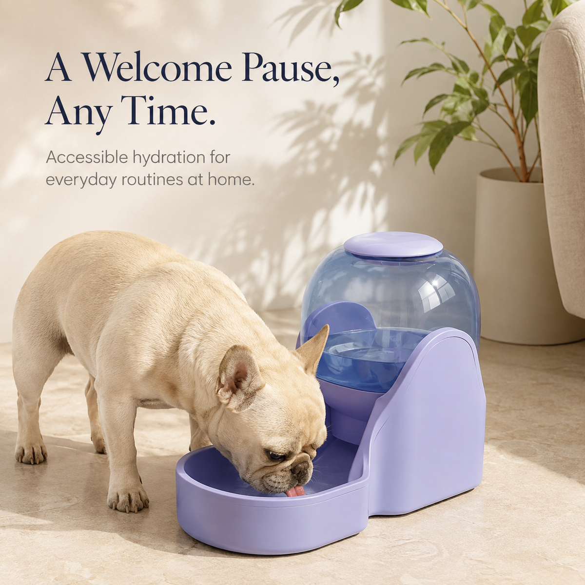 Dog drinking from lavender gravity water dispenser