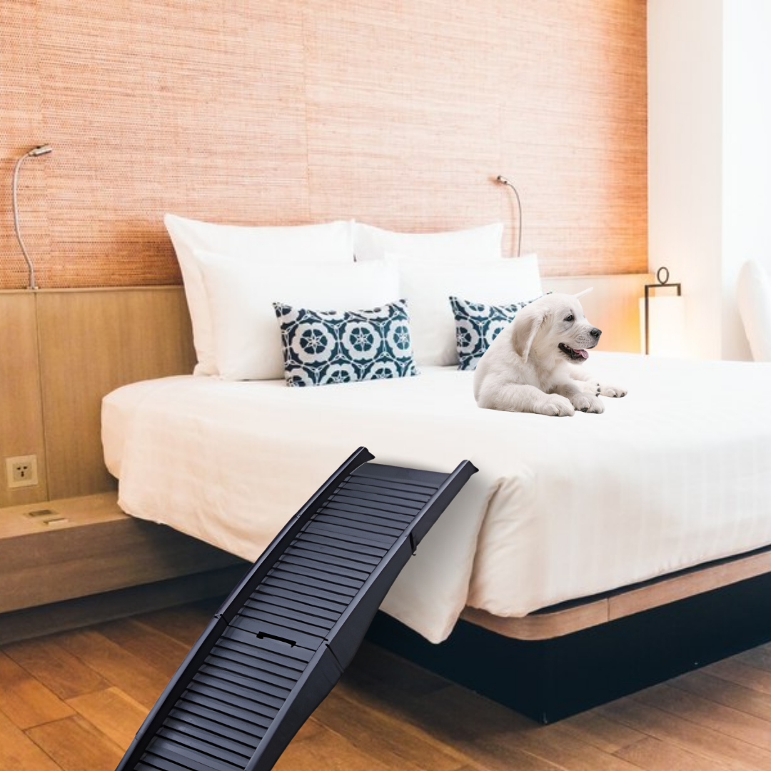 Pet ramps