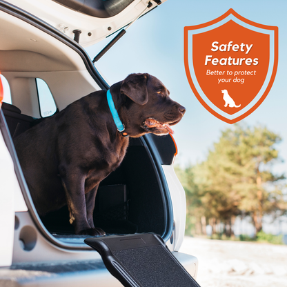 Pet Ramps (Medium)