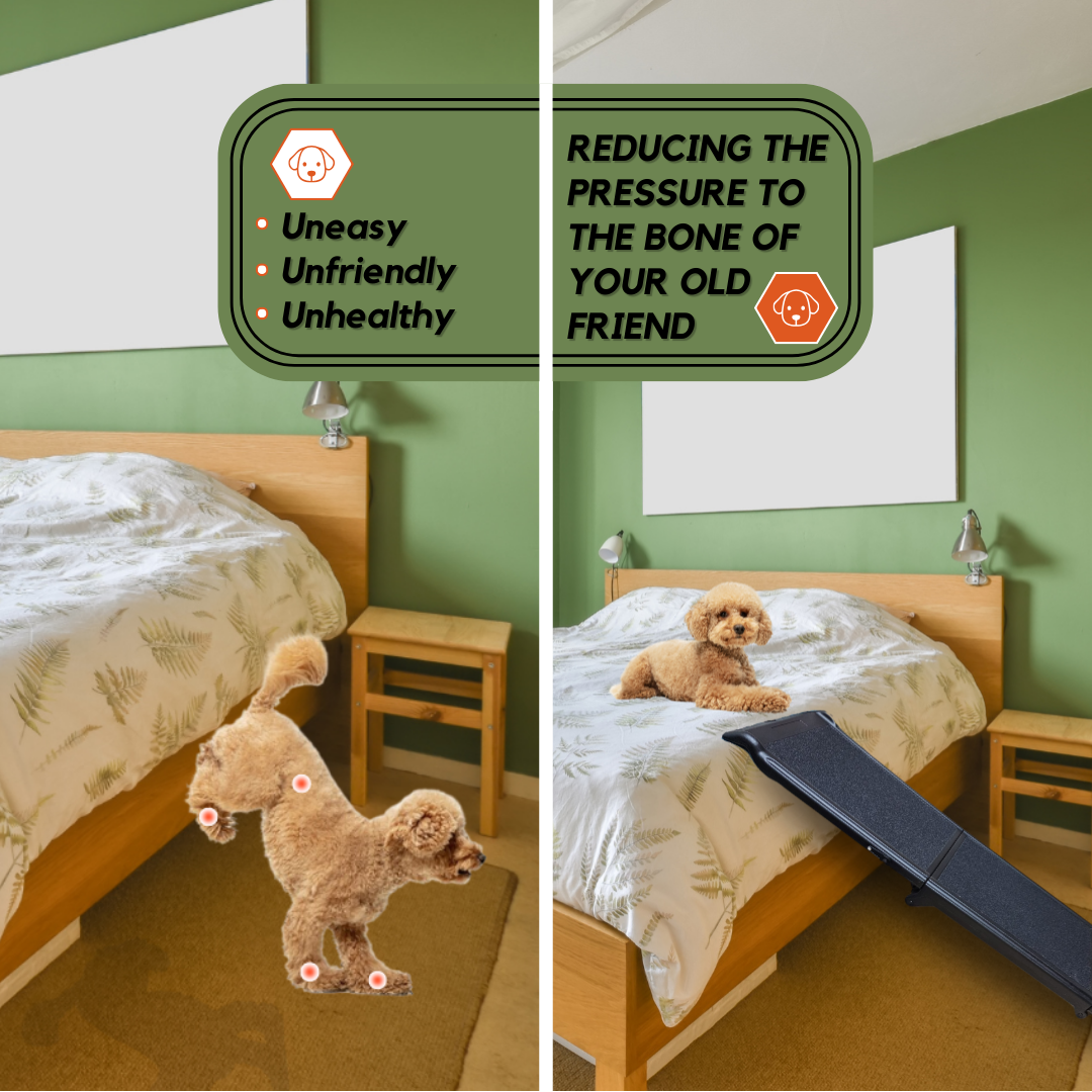 Pet Ramps (Small)