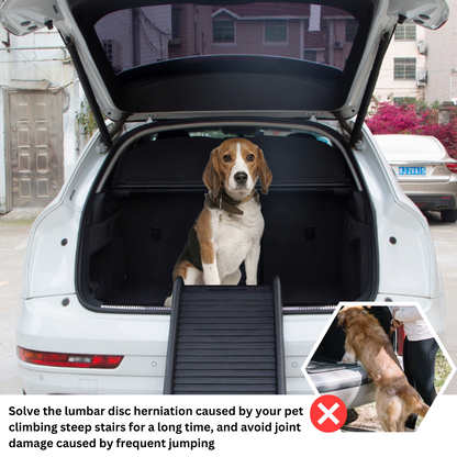 Pet ramps