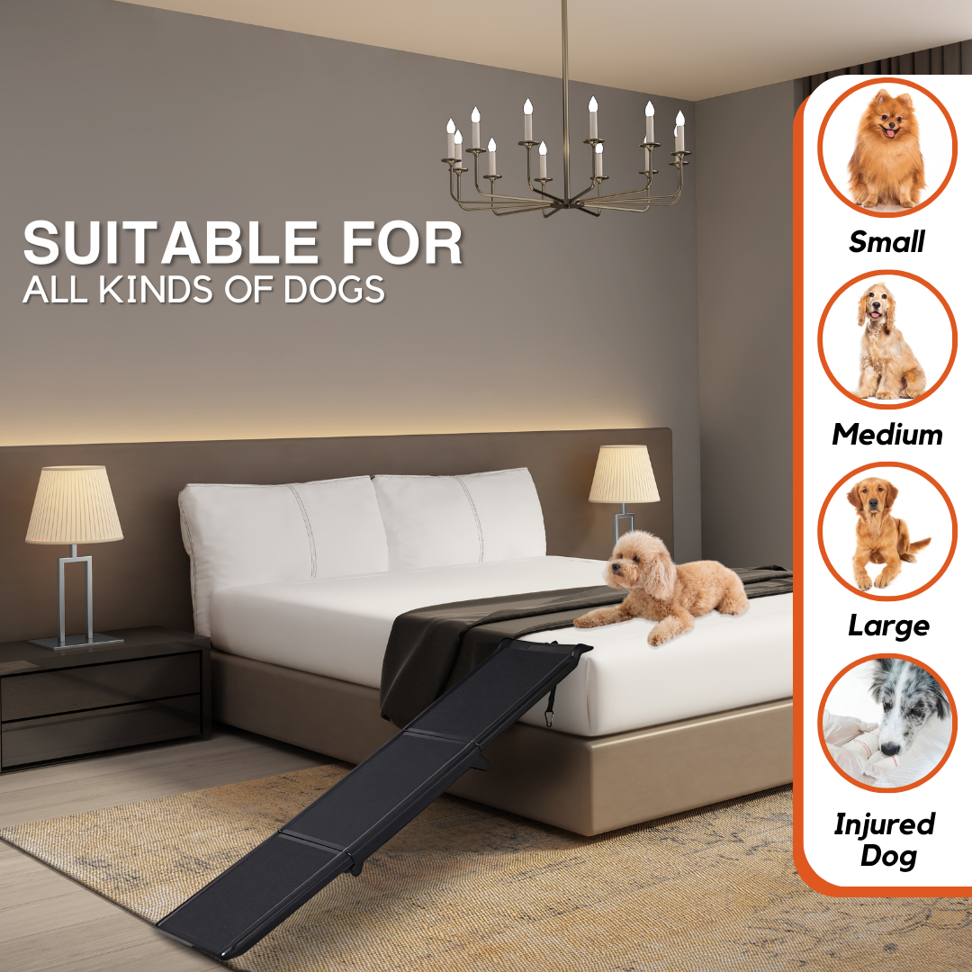 Pet Ramps (Medium)