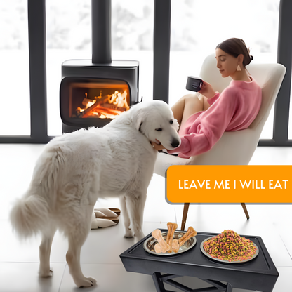 Dog Bowls (Black)