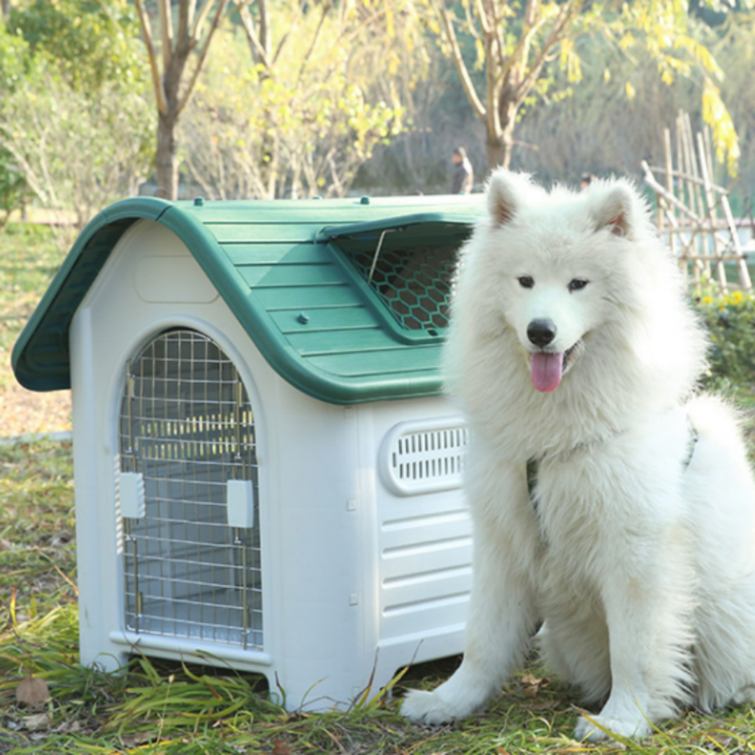 Pet Galaxy Dog House (green)