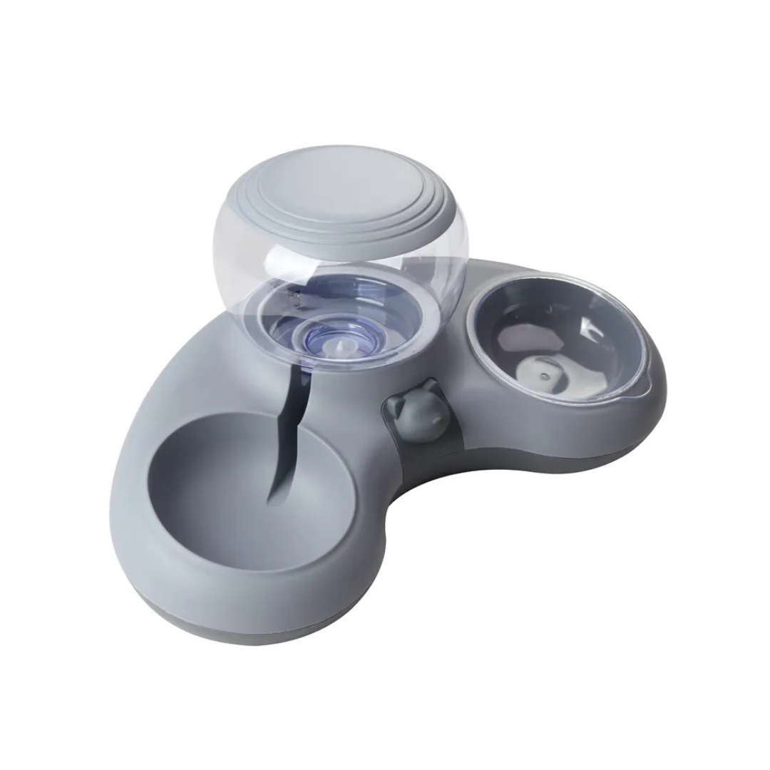 Pet Food and Water Bowl