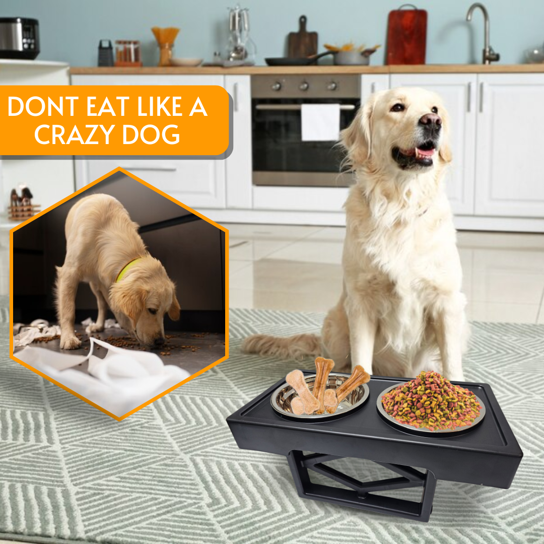 Dog Bowls (Black)