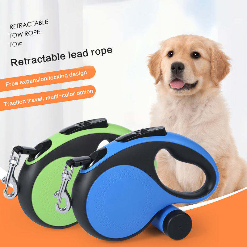 Dog Leash