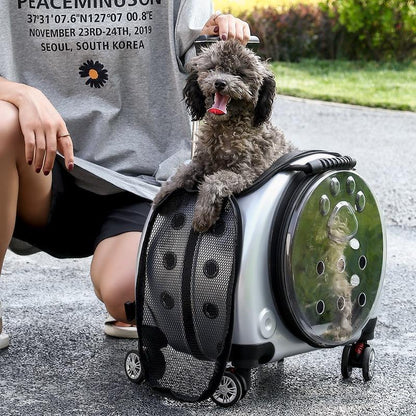 Pet Trolley Case