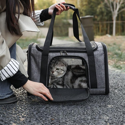 Pet Travel Carrier