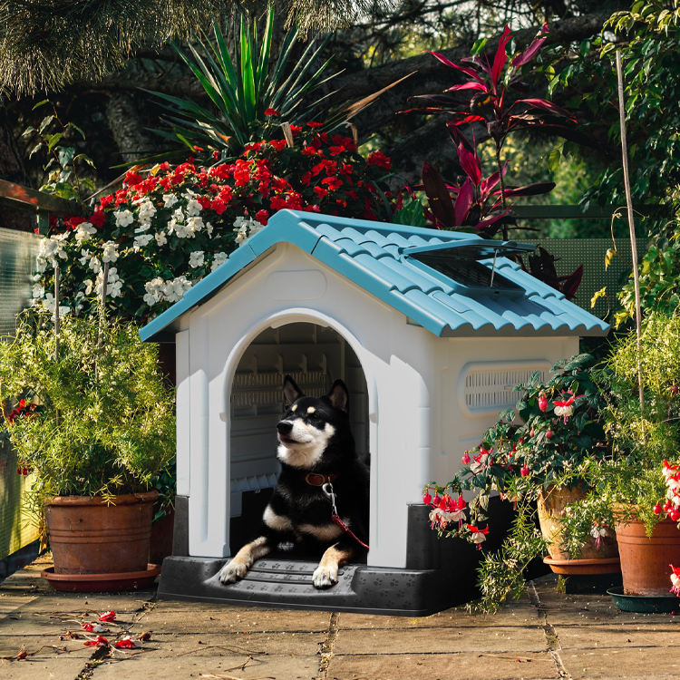 Pet Galaxy Dog House (Blue)