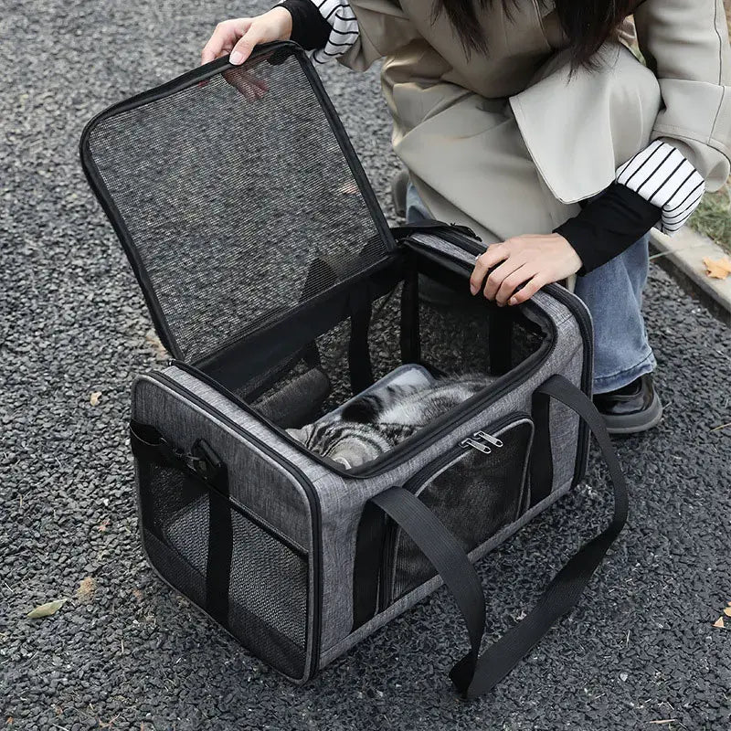 Pet Travel Carrier