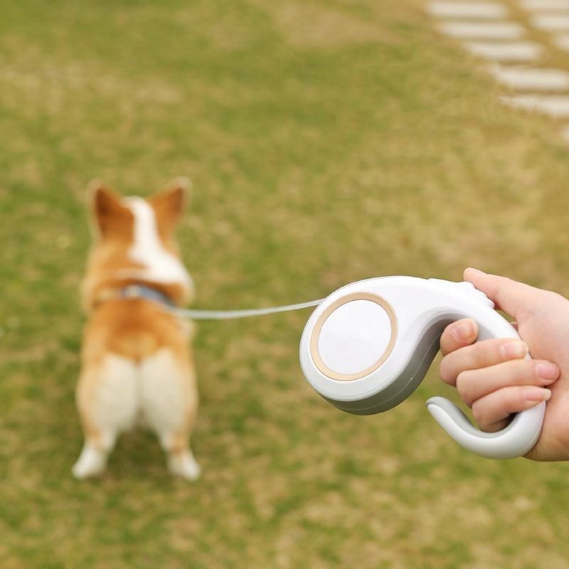 Dog Leash