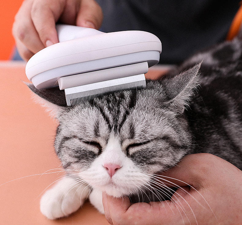 5-in-1 Cat Brush Self Cleaning