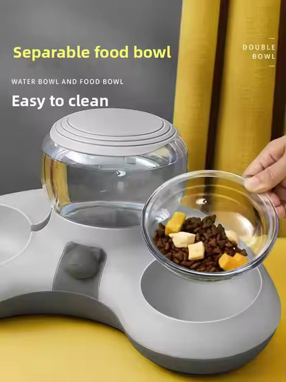 Pet Food and Water Bowl