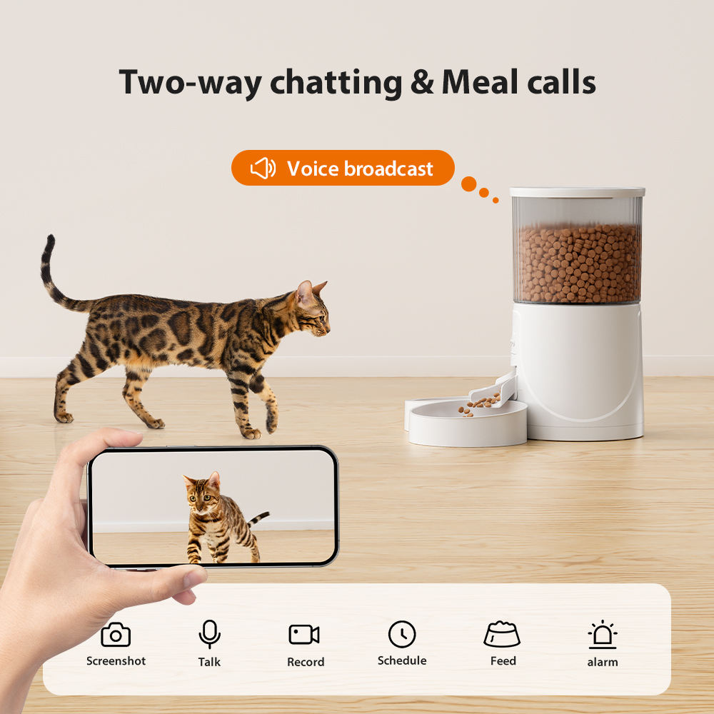Automatic Cat Feeder With Camera Video