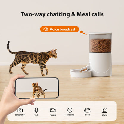 Automatic Cat Feeder With Camera Video