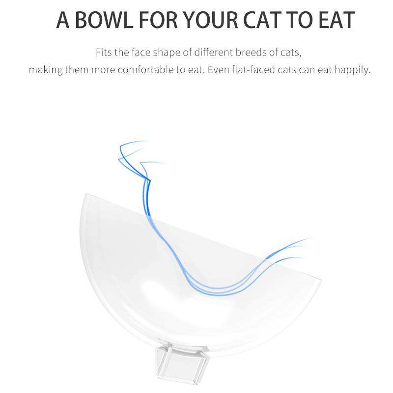 Cats Dogs Food Bowls