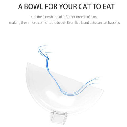 Cats Dogs Food Bowls