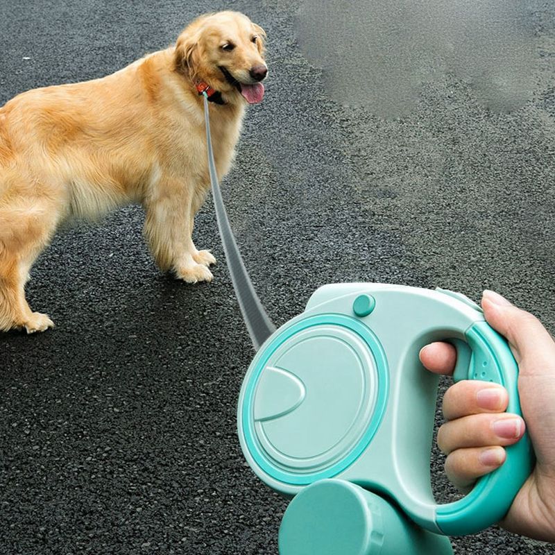 Pet Leashes for Small and Medium Dogs