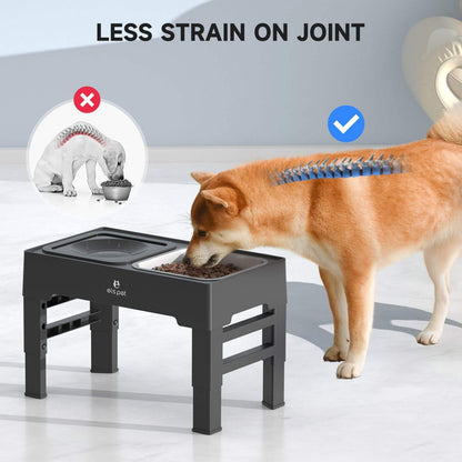 Pet Feeding and Drinking Bowl