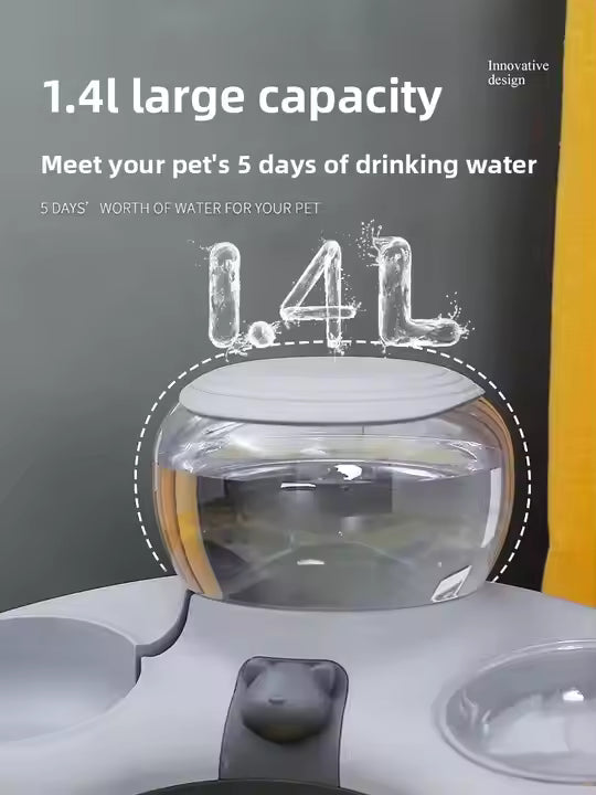 Pet Food and Water Bowl