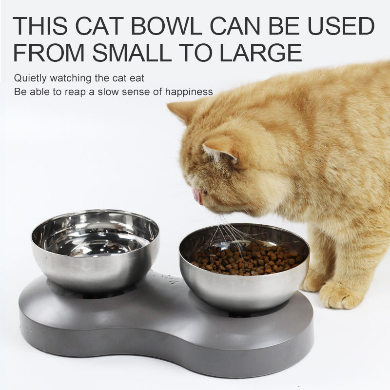 Pet Double Bowl