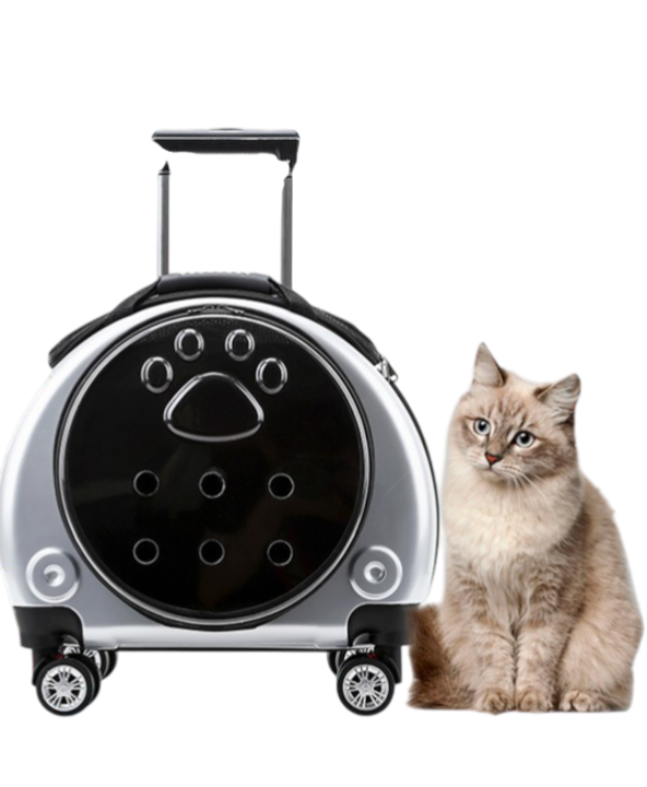 Pet Trolley Case