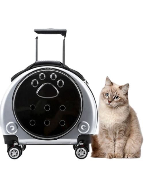 Pet Trolley Case