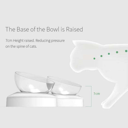 Cats Dogs Food Bowls