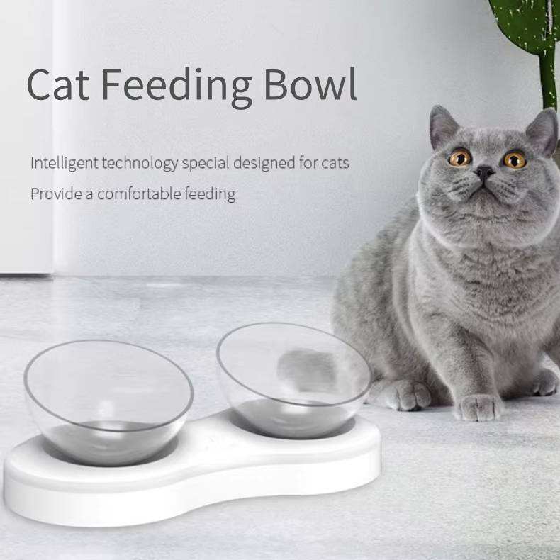 Cats Dogs Food Bowls