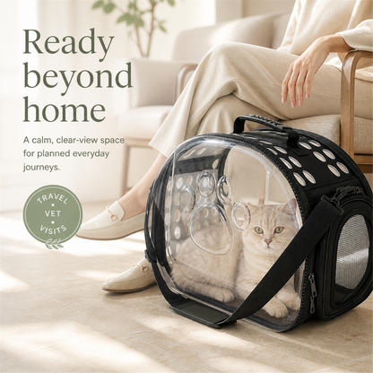 Clear-view pet carrier for everyday travel and vet visits