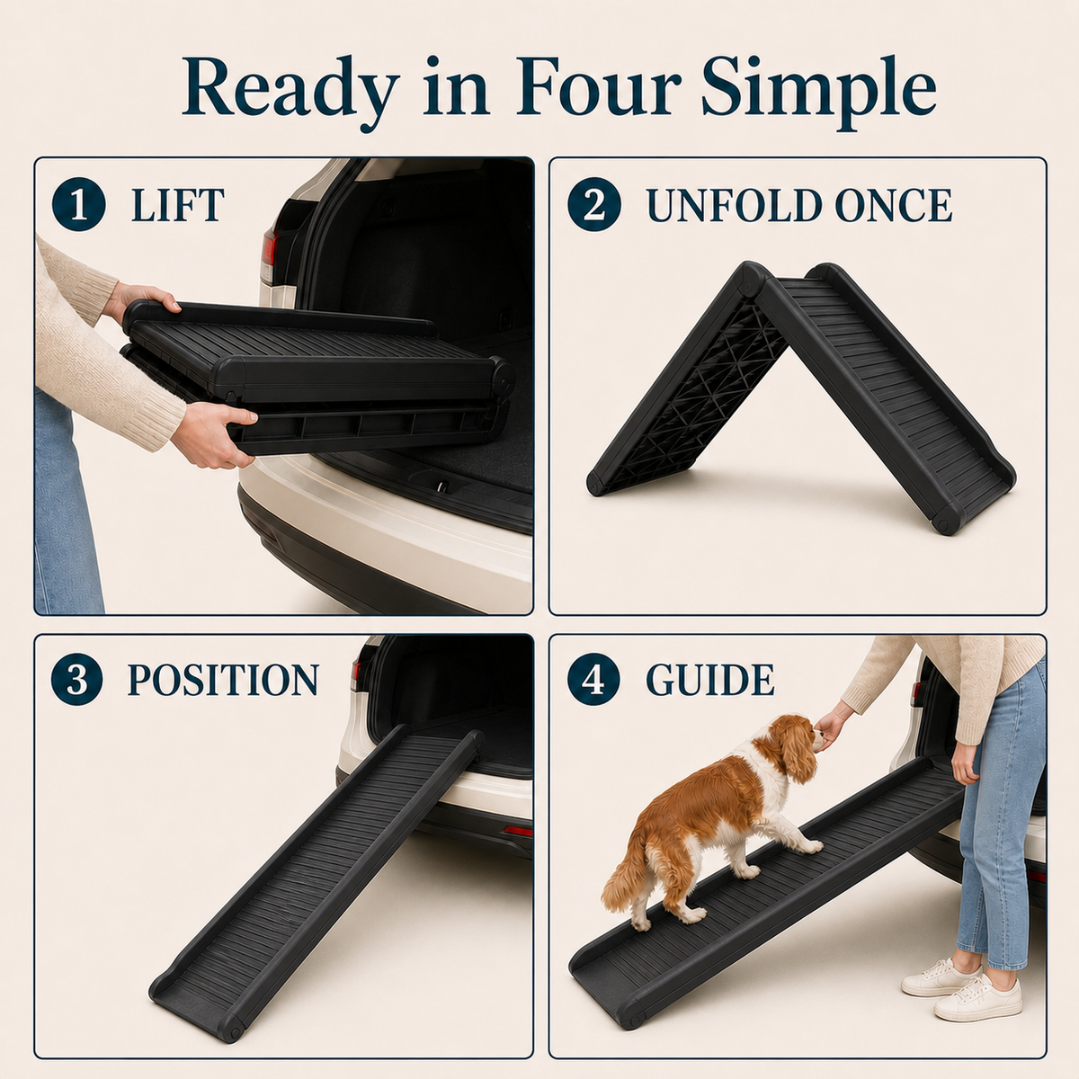 Four-step guide for unfolding and positioning a dog ramp at a vehicle