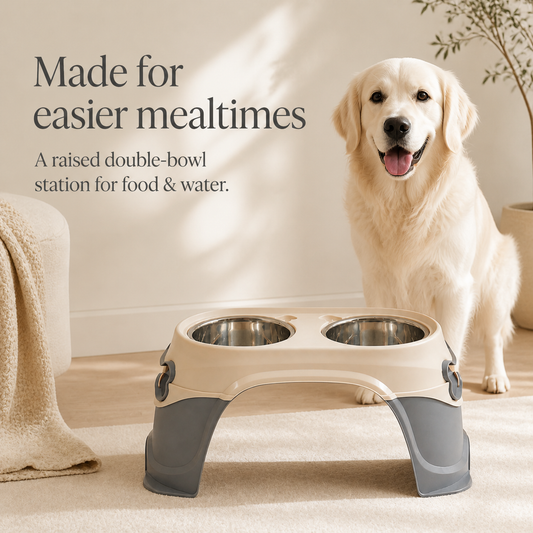 Elevated double stainless steel dog bowls with dog