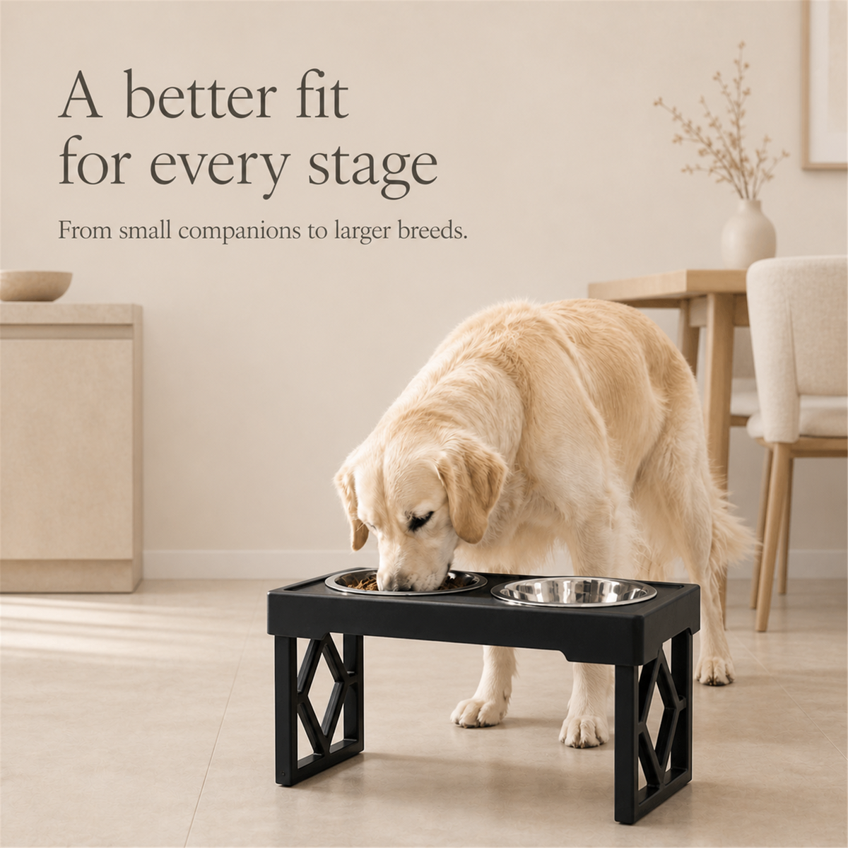 Golden retriever eating from elevated adjustable dog bowls