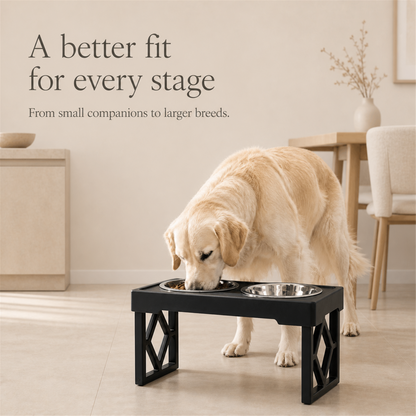 Golden retriever eating from elevated adjustable dog bowls