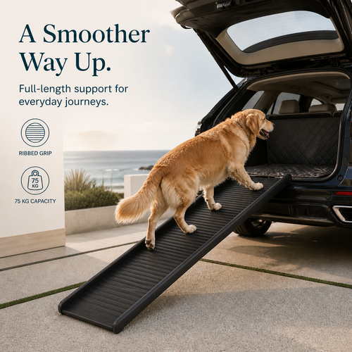 Foldable black dog ramp for SUV, seamless ribbed walking surface