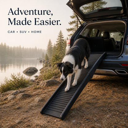 Black folding pet ramp used by a dog at an SUV near a lake