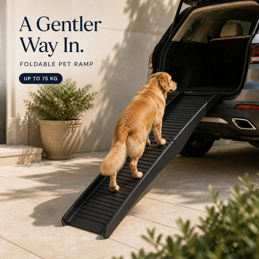 Black multi-fold pet ramp helping a golden retriever enter an SUV